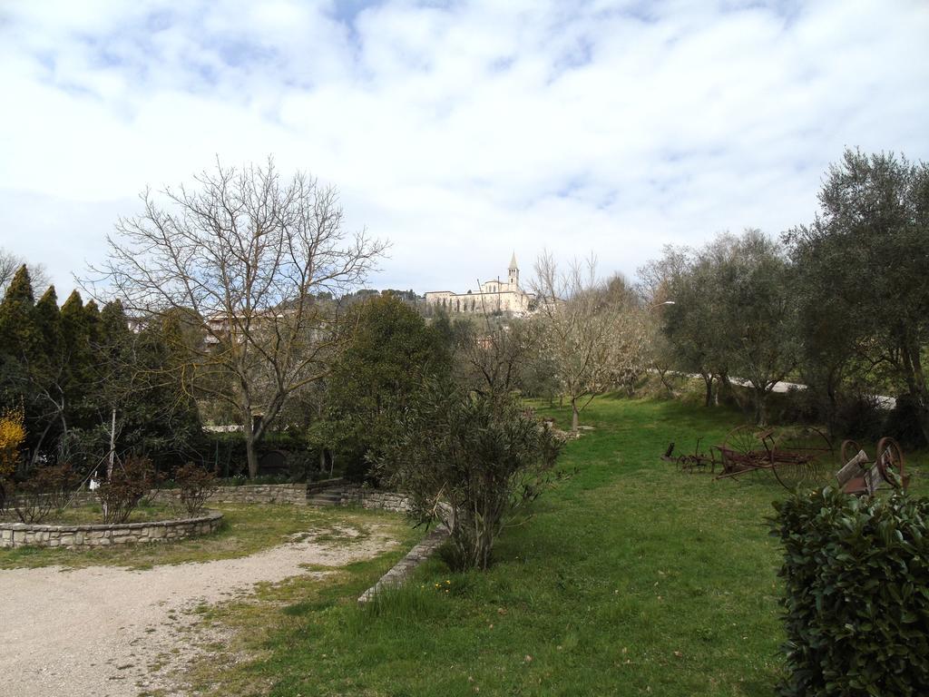 Villa Agriturismo Poponi à Todi Extérieur photo